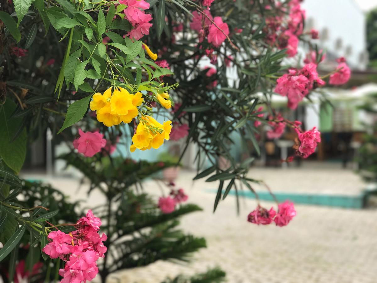 Scenarium Hotel จาบัวเทา โดส กัวราราเปส ภายนอก รูปภาพ